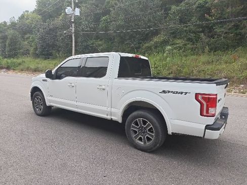 Used 2017 Ford F150 XLT w/ Equipment Group 302A Luxury RWD image 5