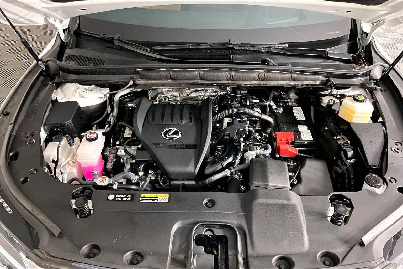 Used 2025 Lexus RX 350 Premium Plus w/ Convenience Package AWD/4WD image 28