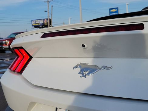 Certified 2024 Ford Mustang Premium image 10