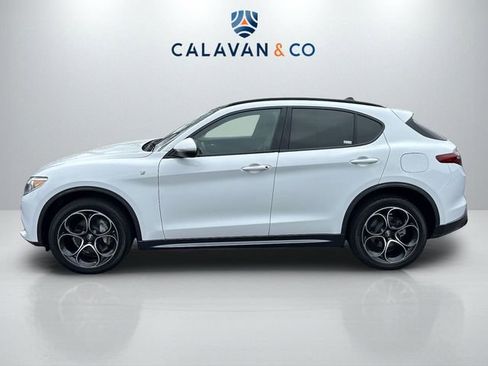 Used 2023 Alfa Romeo Stelvio Ti image 4