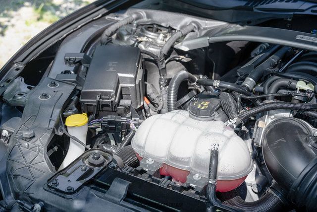 Used 2015 Ford Mustang Shelby GT350 RWD image 20