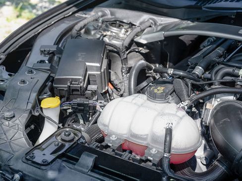Used 2015 Ford Mustang Shelby GT350 RWD image 20