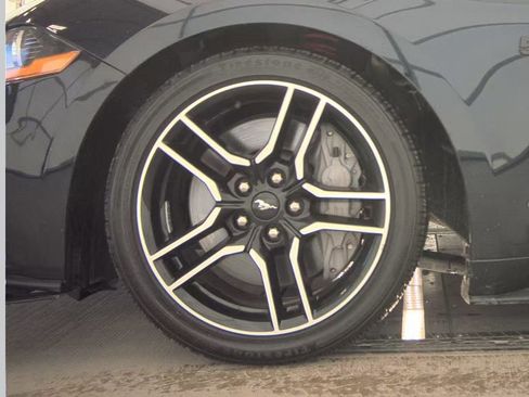 Used 2021 Ford Mustang GT w/ Equipment Group 301A image 10