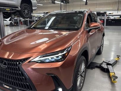 Used 2025 Lexus NX 350h AWD w/ Cold Area Package