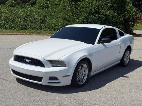 Used 2014 Ford Mustang Coupe RWD image 1