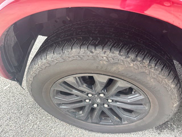 Used 2019 Ford F150 XLT w/ Equipment Group 302A Luxury AWD/4WD image 3