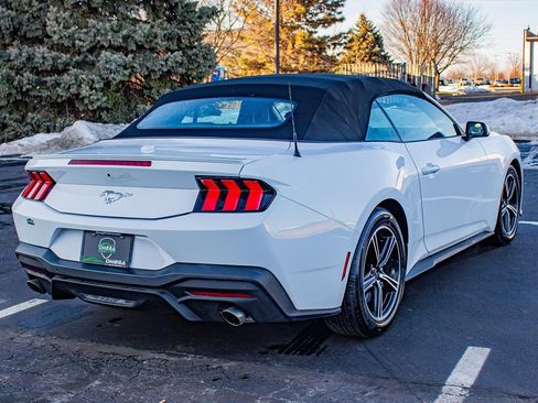 Used 2024 Ford Mustang Premium image 7