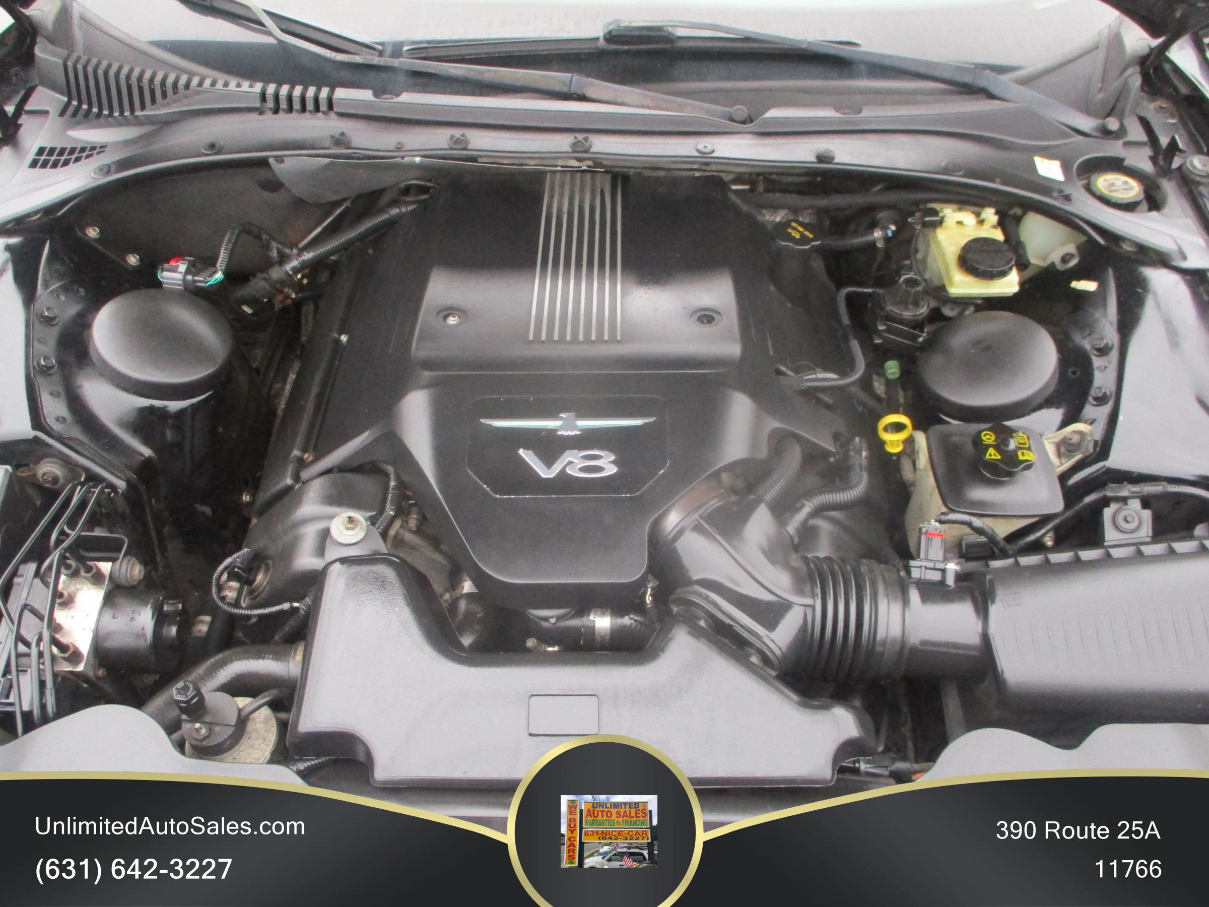 Used 2004 Ford Thunderbird RWD image 12