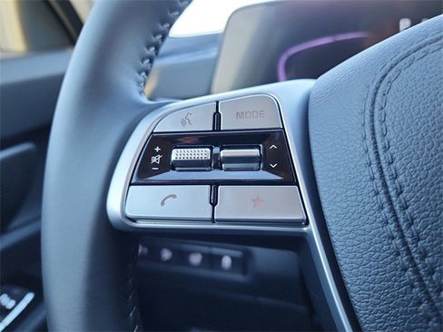 New 2025 Kia Telluride EX image 25