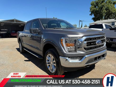 Used 2022 Ford F150 XLT w/ Equipment Group 302A High AWD/4WD image 1