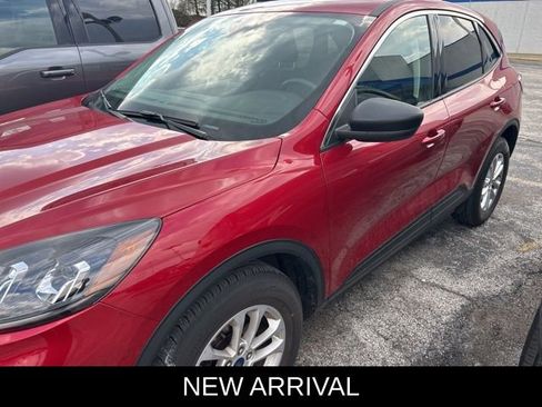 Used 2022 Ford Escape SE w/ Cold Weather Package image 1