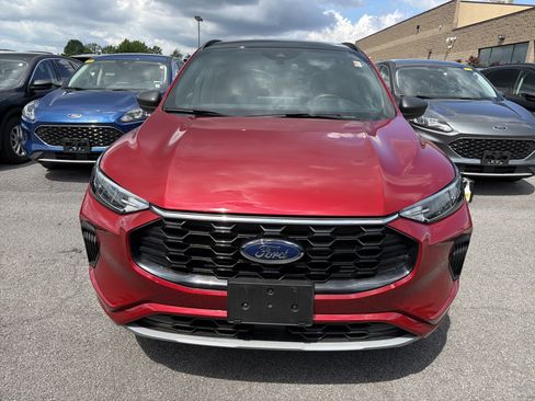 Used 2024 Ford Escape ST-Line w/ Tech Pack #1 AWD/4WD image 2