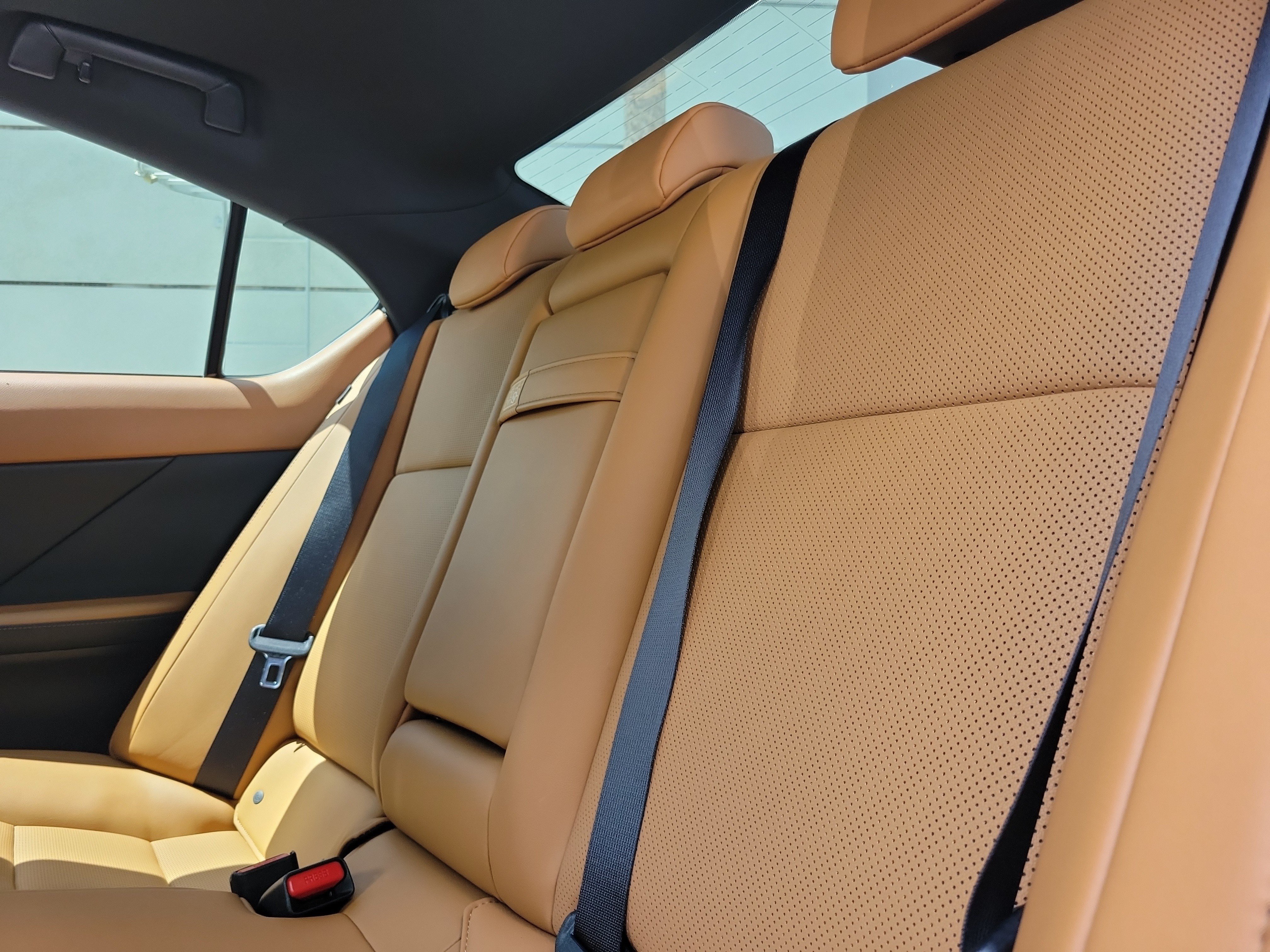 Used 2024 Lexus IS 300 w/ Comfort Package RWD image 10