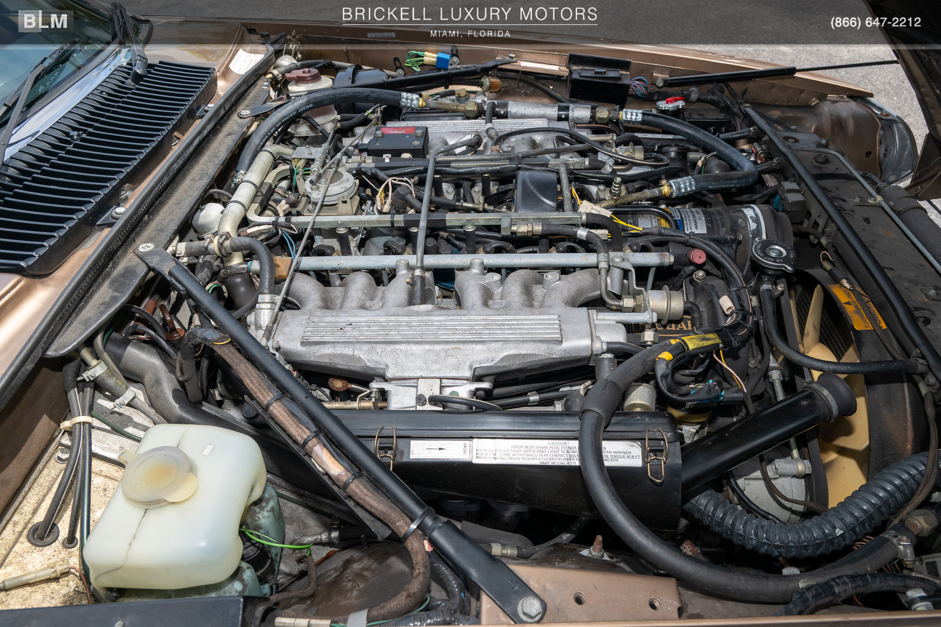 Used 1987 Jaguar XJS V12 Coupe RWD image 32