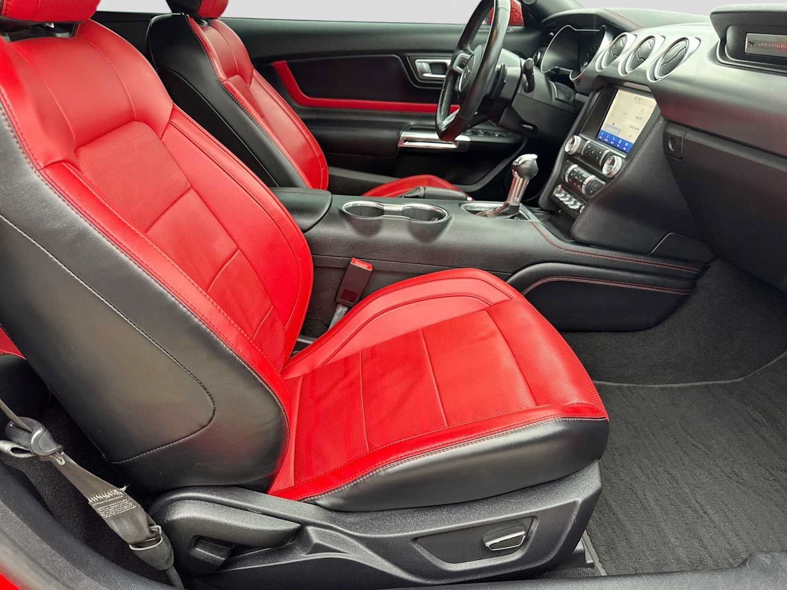 Used 2019 Ford Mustang Premium w/ Equipment Group 201A RWD image 18