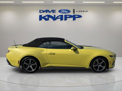 Used 2025 Ford Mustang Premium image 9