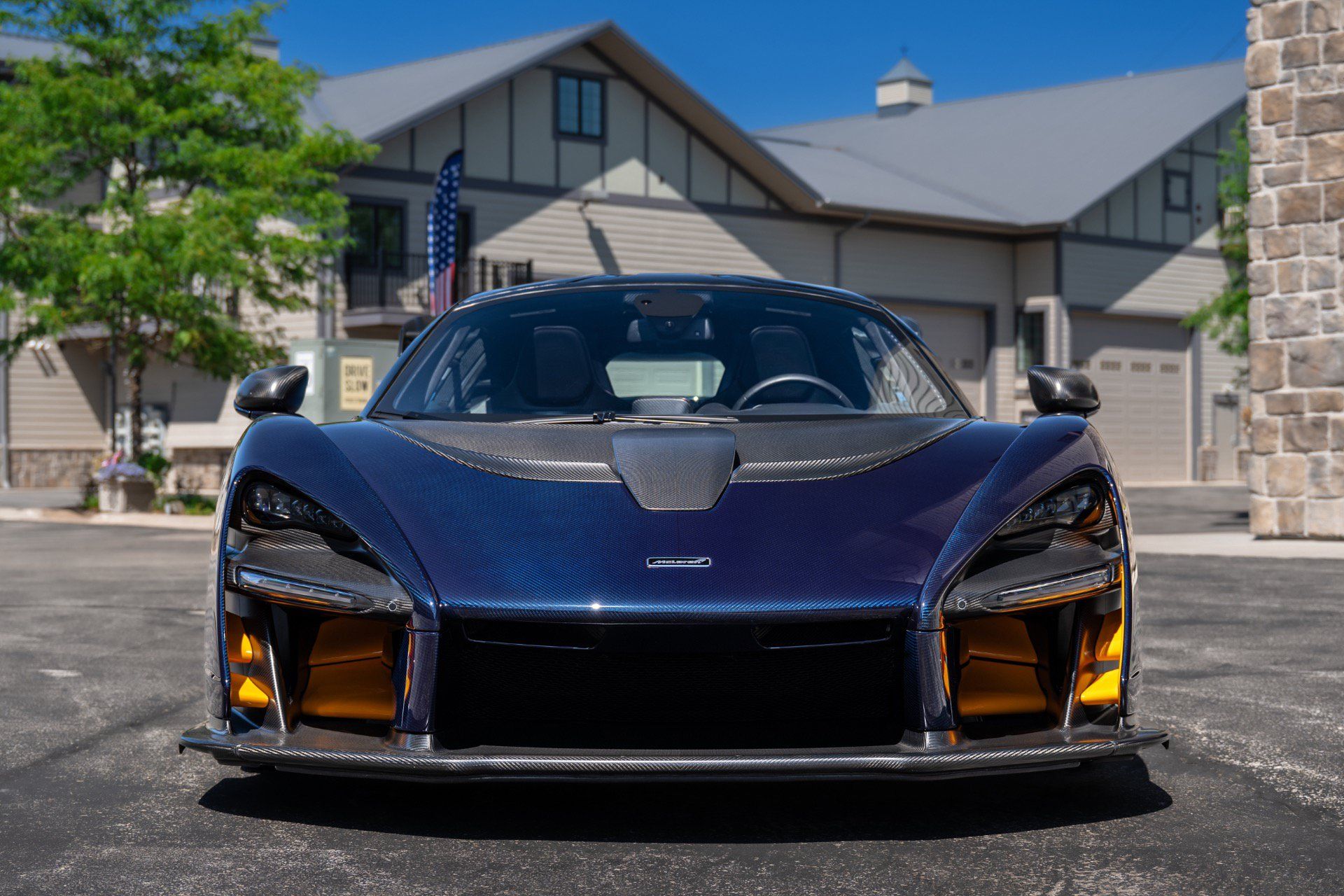 Used 2019 McLaren Senna RWD image 11