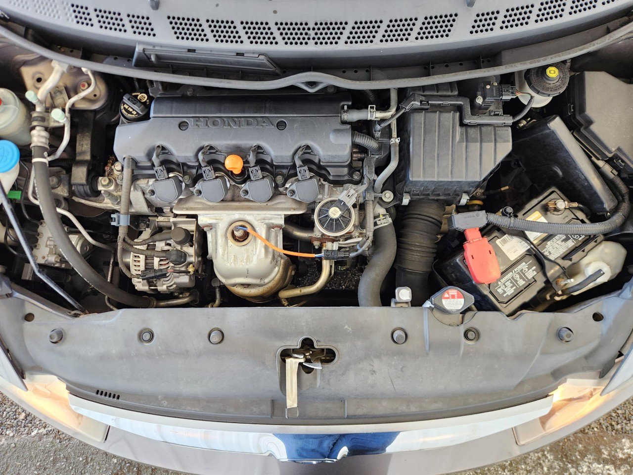 Used 2010 Honda Civic LX image 12
