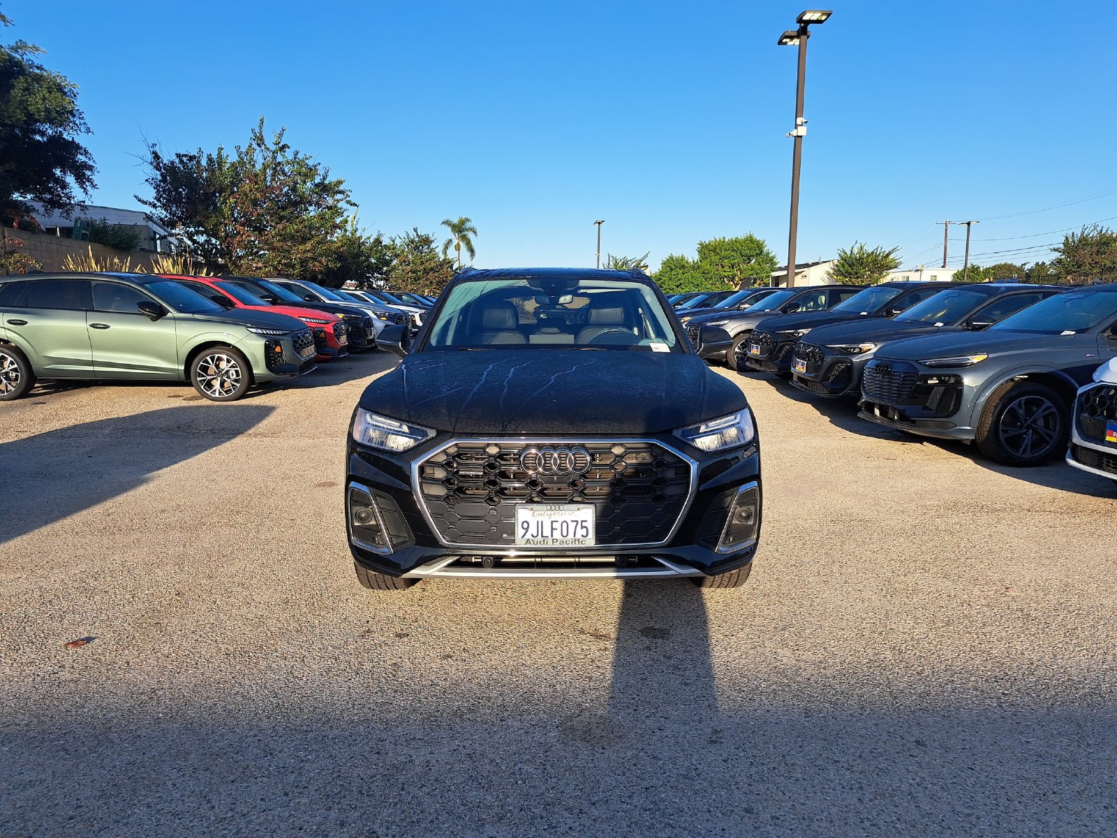 Used 2023 Audi Q5 2.0T Premium Plus AWD/4WD image 2