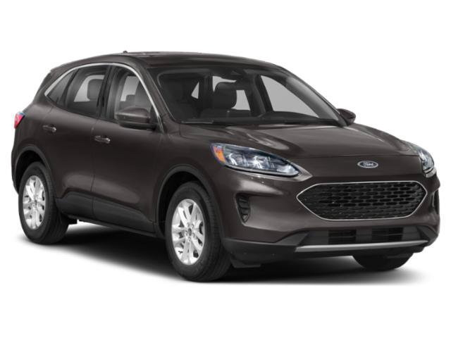 Used 2020 Ford Escape SE AWD/4WD image 6
