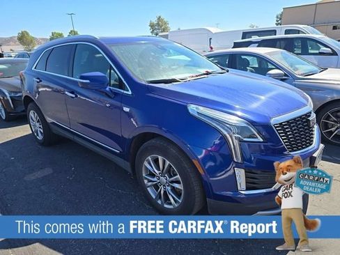 Used 2023 Cadillac XT5 Premium Luxury AWD/4WD image 2