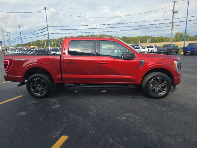Used 2023 Ford F150 XLT w/ Equipment Group 302A High AWD/4WD image 4