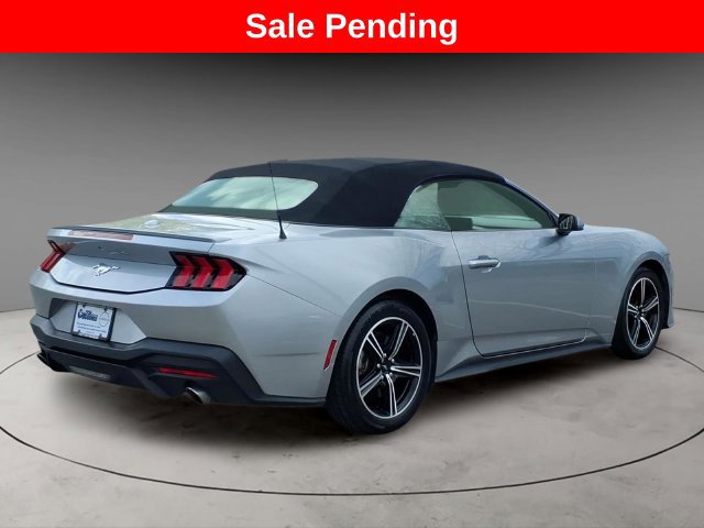 Used 2024 Ford Mustang Convertible RWD image 8