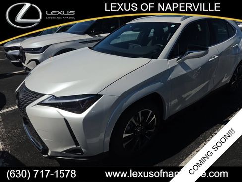 Used 2025 Lexus UX 300h AWD w/ Cold Area Package image 1