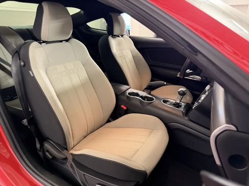 Used 2019 Ford Mustang GT w/ Equipment Group 301A RWD image 29