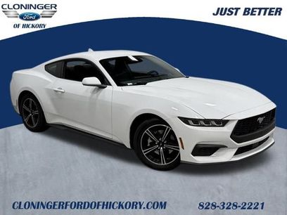 Used 2025 Ford Mustang EcoBoost