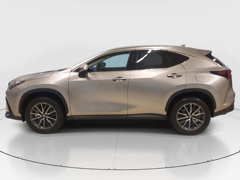 Certified 2025 Lexus NX 250 FWD w/ Premium Package image 8
