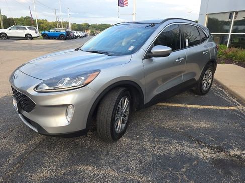 Certified 2022 Ford Escape SEL image 4
