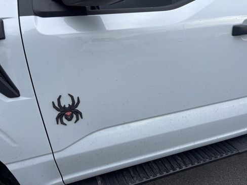 Used 2022 Ford F150 XL w/ STX Appearance Package image 12