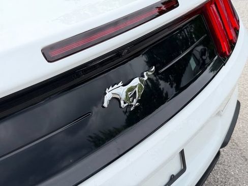 Used 2019 Ford Mustang Convertible RWD image 15