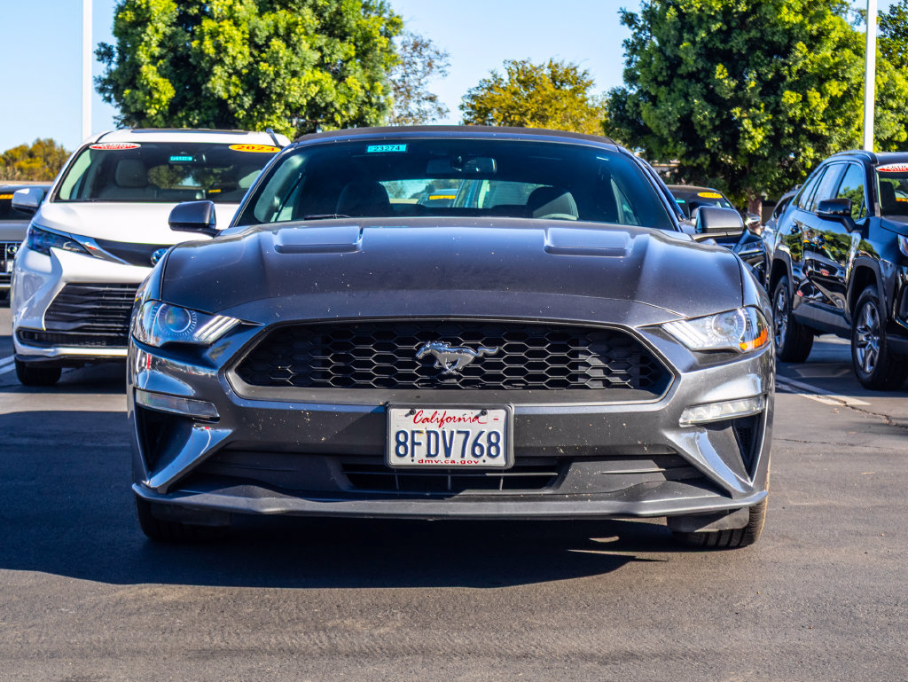 Used 2018 Ford Mustang Convertible w/ Equipment Group 101A RWD image 2