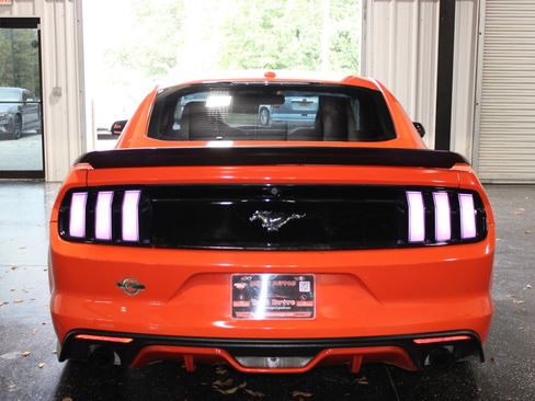 Used 2016 Ford Mustang Premium w/ Ecoboost Performance Package RWD image 5