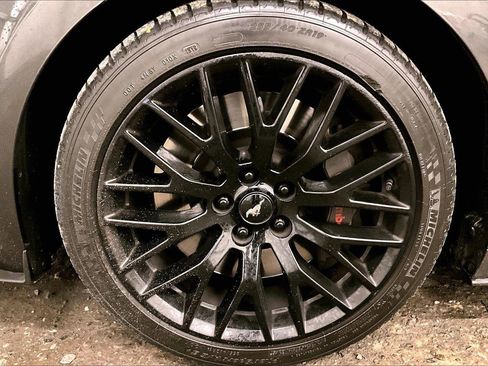 Used 2015 Ford Mustang GT Premium w/ GT Performance Package image 8