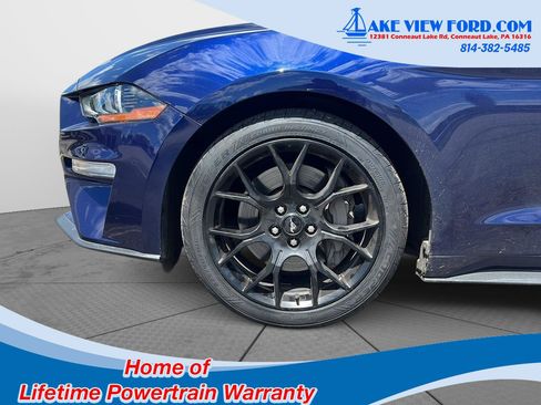 Used 2018 Ford Mustang Premium w/ Ecoboost Performance Package RWD image 4