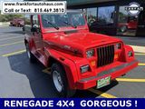 Used 1993 Jeep Wrangler Renegade image 2