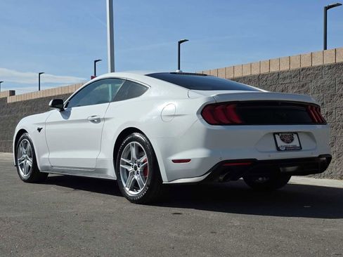 Used 2019 Ford Mustang Premium image 7