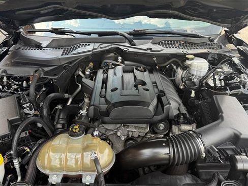 Used 2018 Ford Mustang Premium w/ Equipment Group 201A RWD image 9