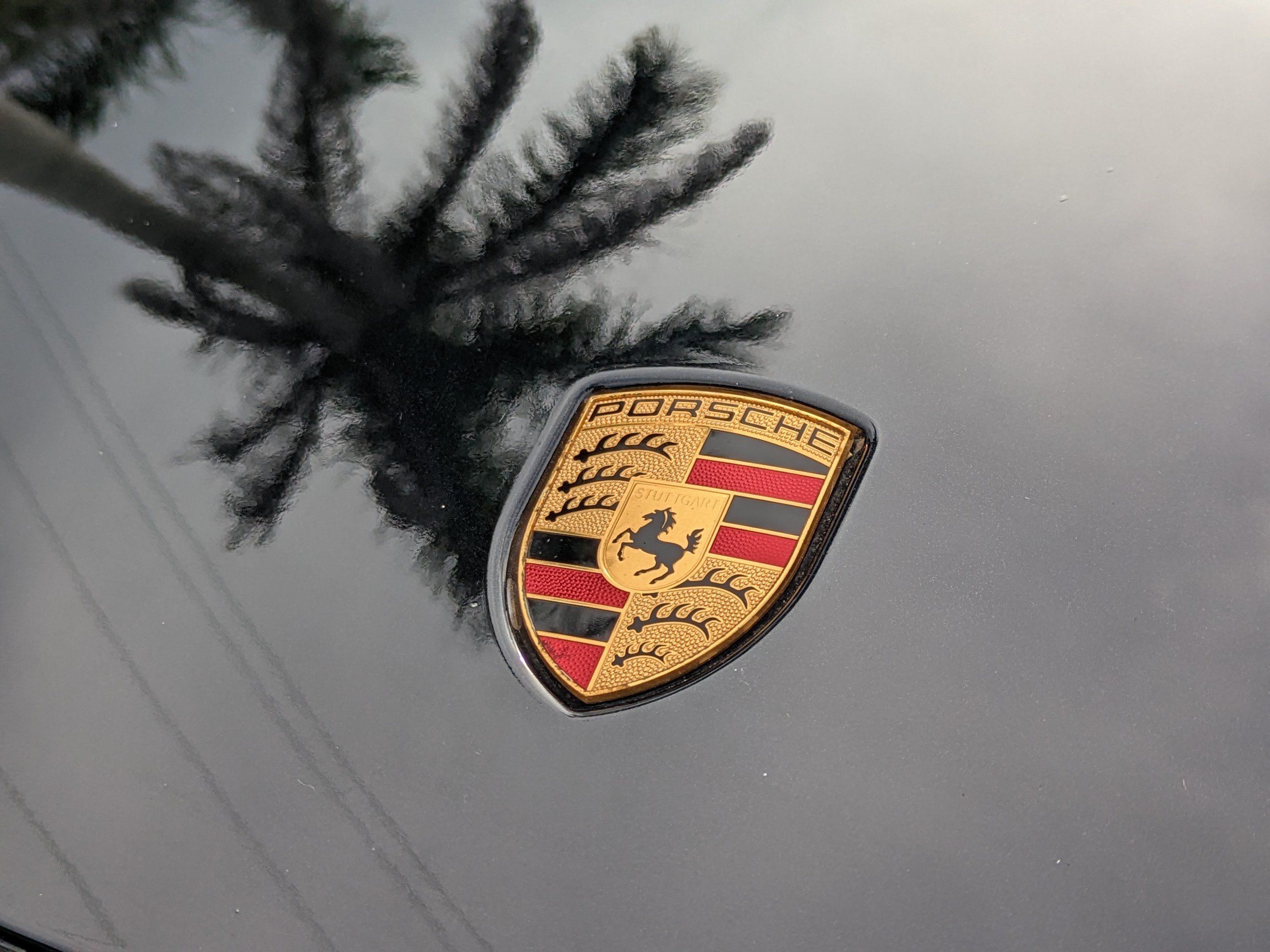 Used 2015 Porsche 911 GT3 RWD image 13