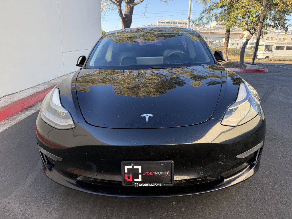 Used 2021 Tesla Model 3 Standard Range Plus RWD image 6