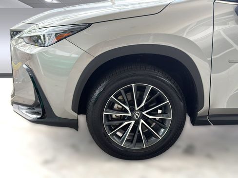 Used 2025 Lexus NX 250 FWD w/ Cold Area Package image 12