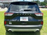 Used 2020 Ford Escape SEL image 3