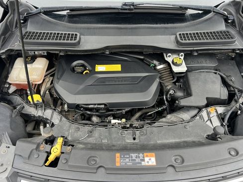 Used 2016 Ford Escape SE w/ Cargo Utility Package image 36