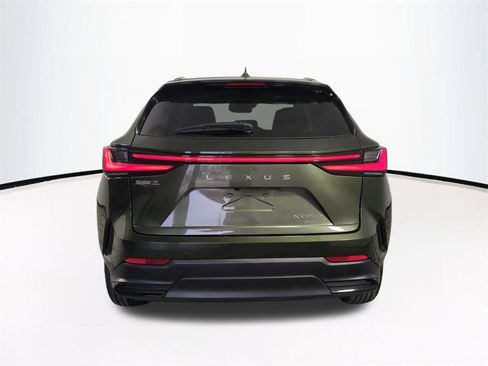 Used 2025 Lexus NX 350h AWD w/ Cold Area Package image 6