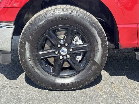Used 2025 Ford F150 XLT w/ Equipment Group 301A Standard AWD/4WD image 10