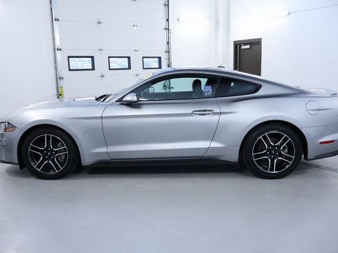 Used 2023 Ford Mustang Premium image 4