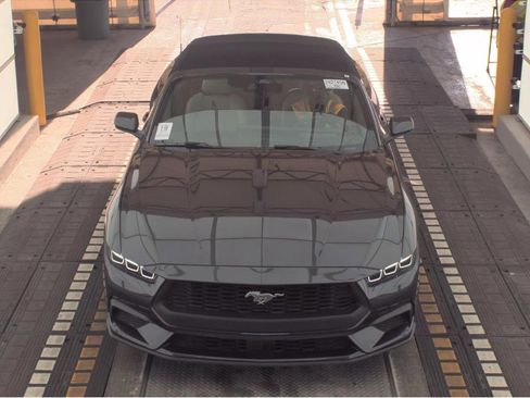 Used 2024 Ford Mustang Premium image 6